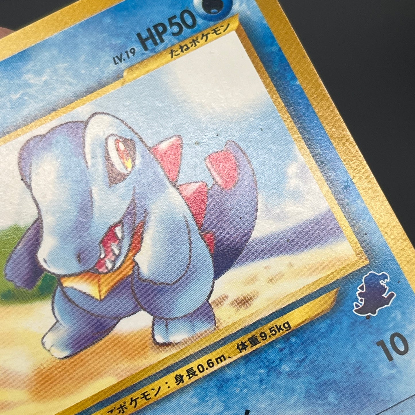 Totodile No. 158 Intro Pack Promo Half Deck Pokémon Card