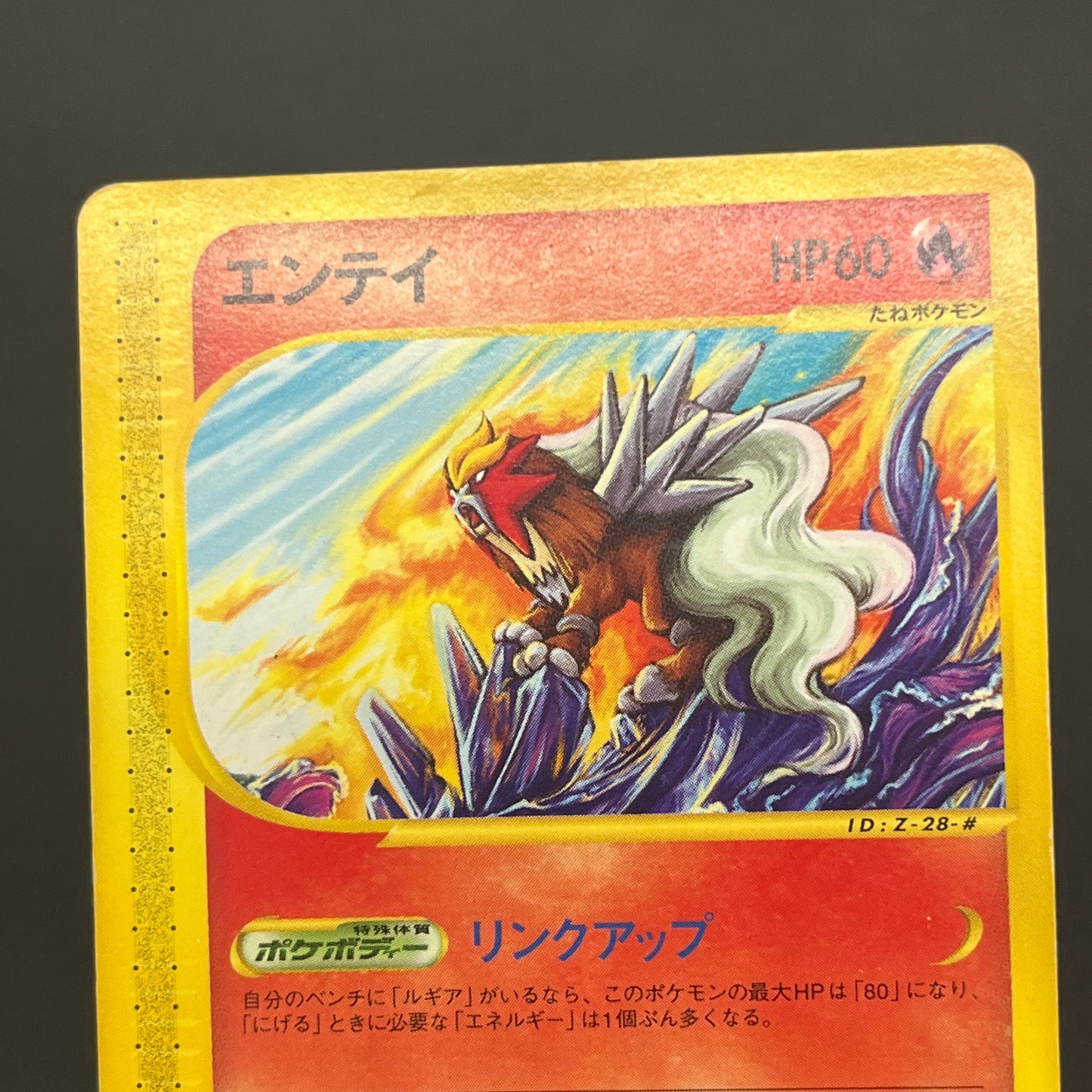 Entei 043/P JR Rally Happy Adventure Promo Pokemon Card