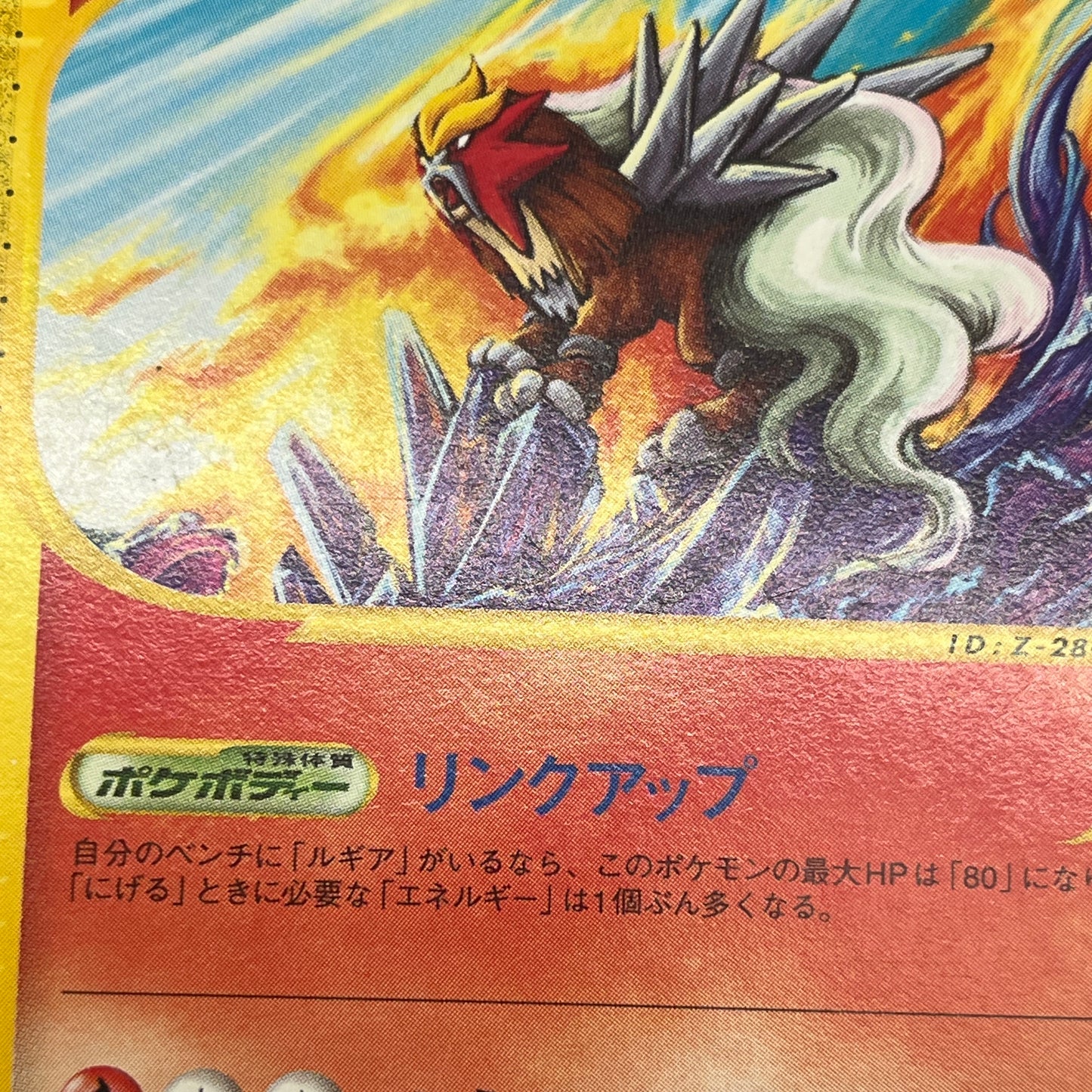 Entei 043/P JR Rally Happy Adventure Promo Pokemon Card