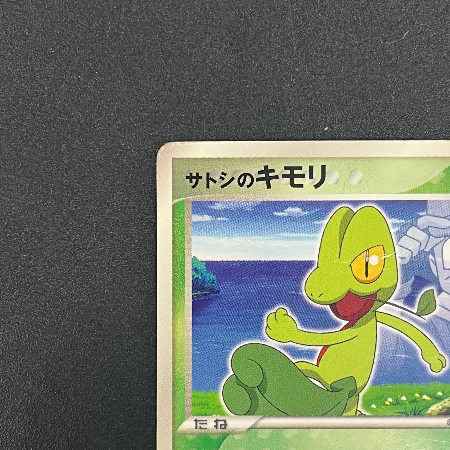 Ash's Treecko 036/ADV-P Shogakukan Promo Pokémon Card