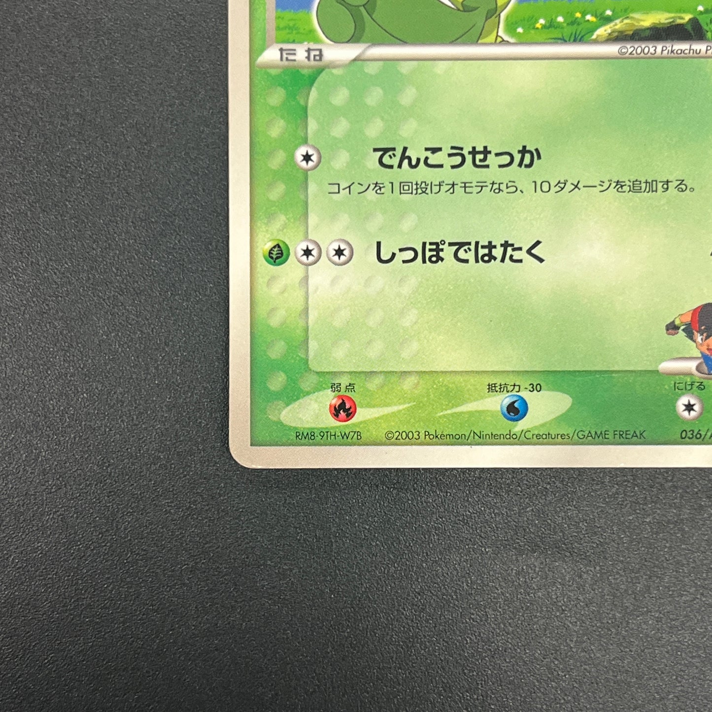 Ash's Treecko 036/ADV-P Shogakukan Promo Pokémon Card