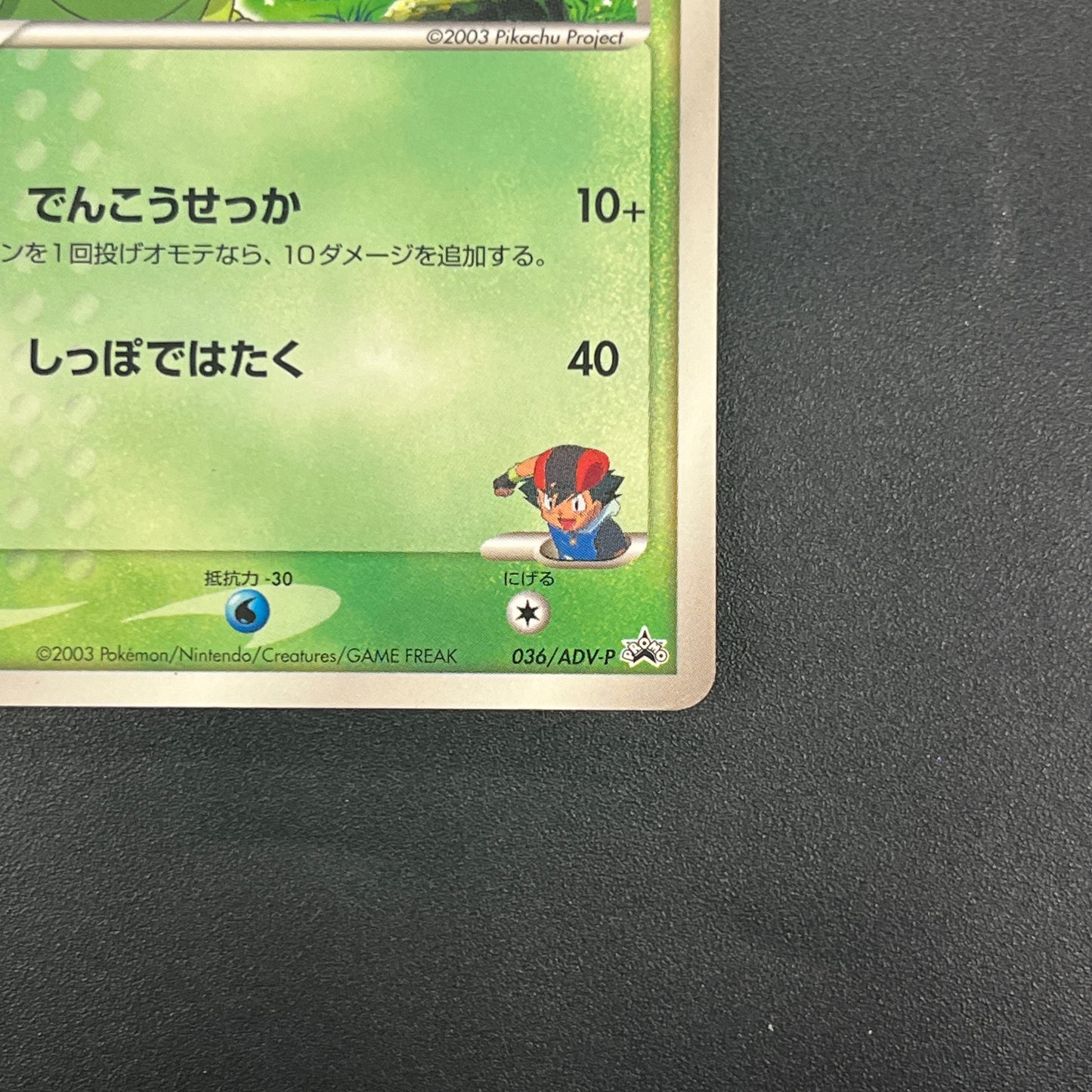 Ash's Treecko 036/ADV-P Shogakukan Promo Pokémon Card