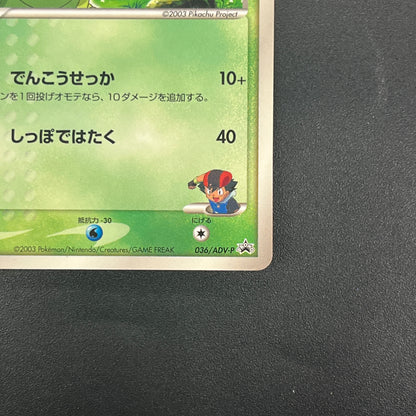 Ash's Treecko 036/ADV-P Shogakukan Promo Pokémon Card