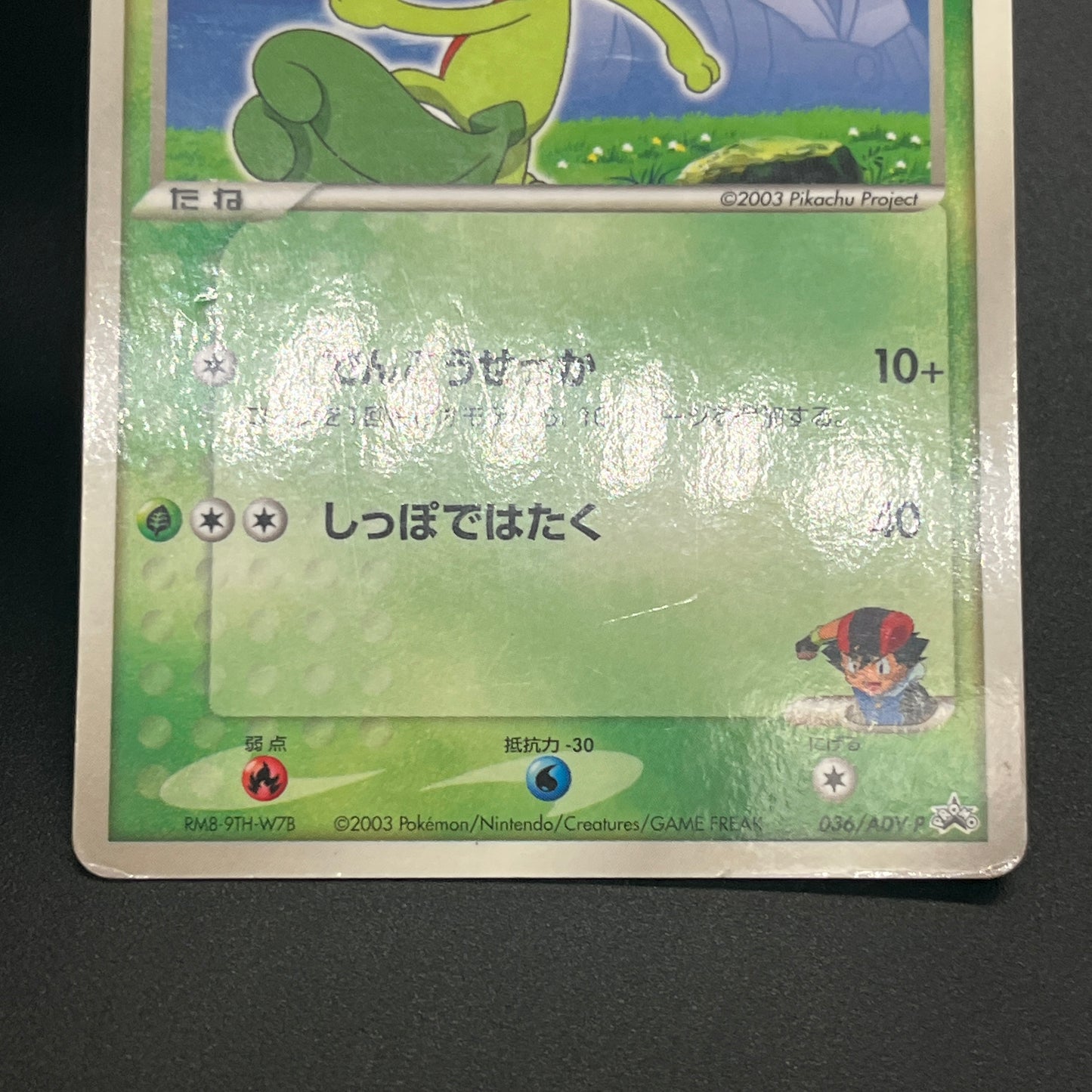 Ash's Treecko 036/ADV-P Shogakukan Promo Pokémon Card