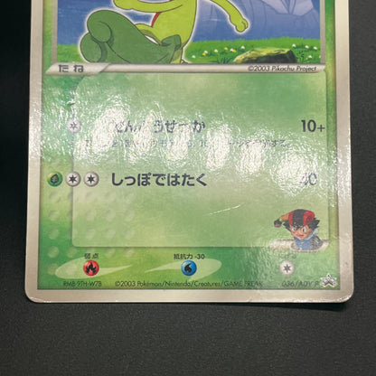 Ash's Treecko 036/ADV-P Shogakukan Promo Pokémon Card