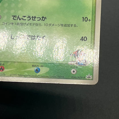 Ash's Treecko 036/ADV-P Shogakukan Promo Pokémon Card