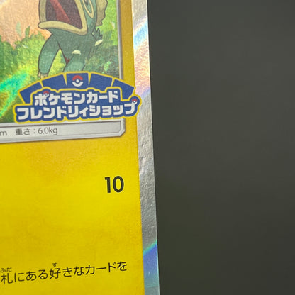 Pikachu 227/SM-P Promo Friendly Shop Japanese Pokémon Card