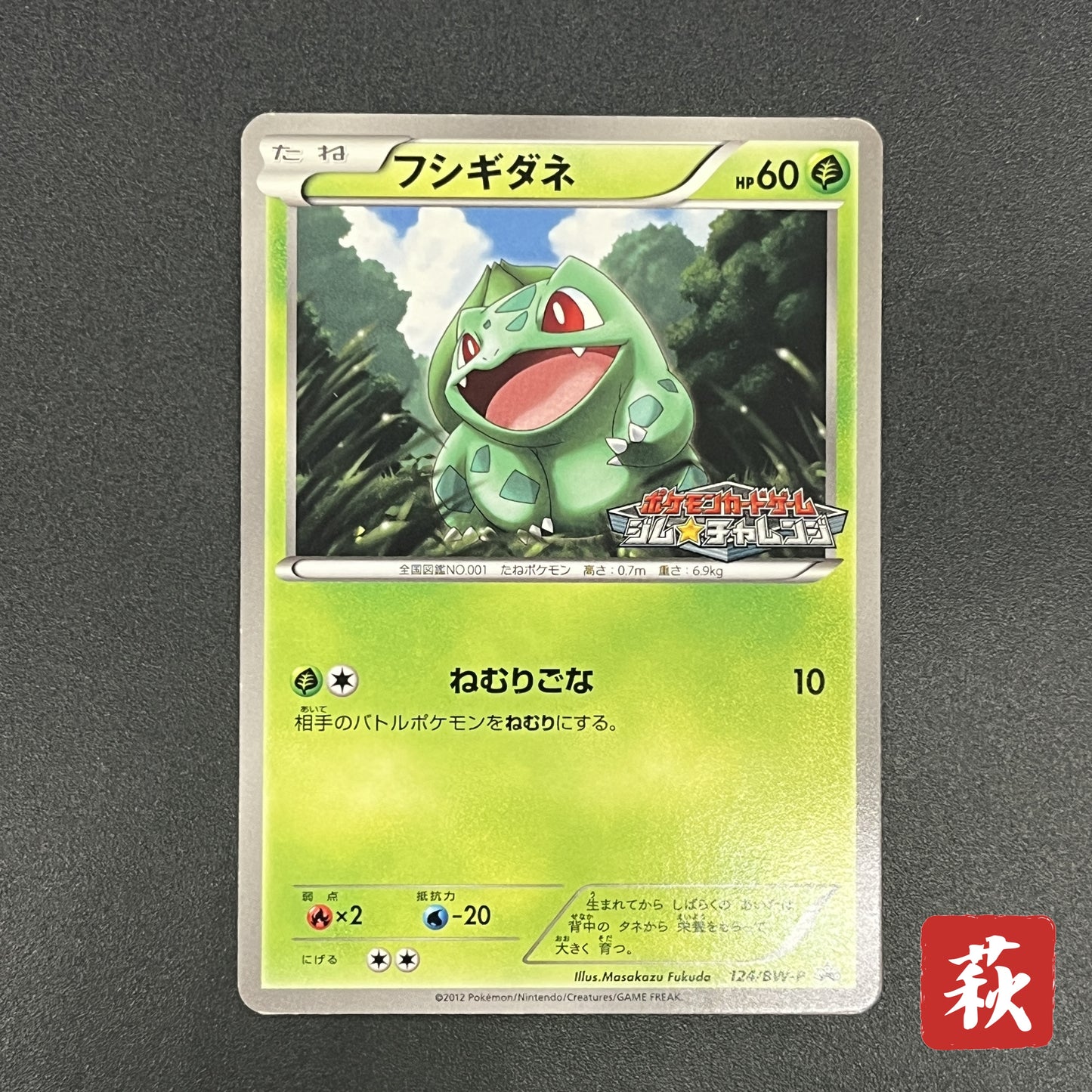 Bulbasaur 124/BW-P Gym Challenge Promo Pokémon Card