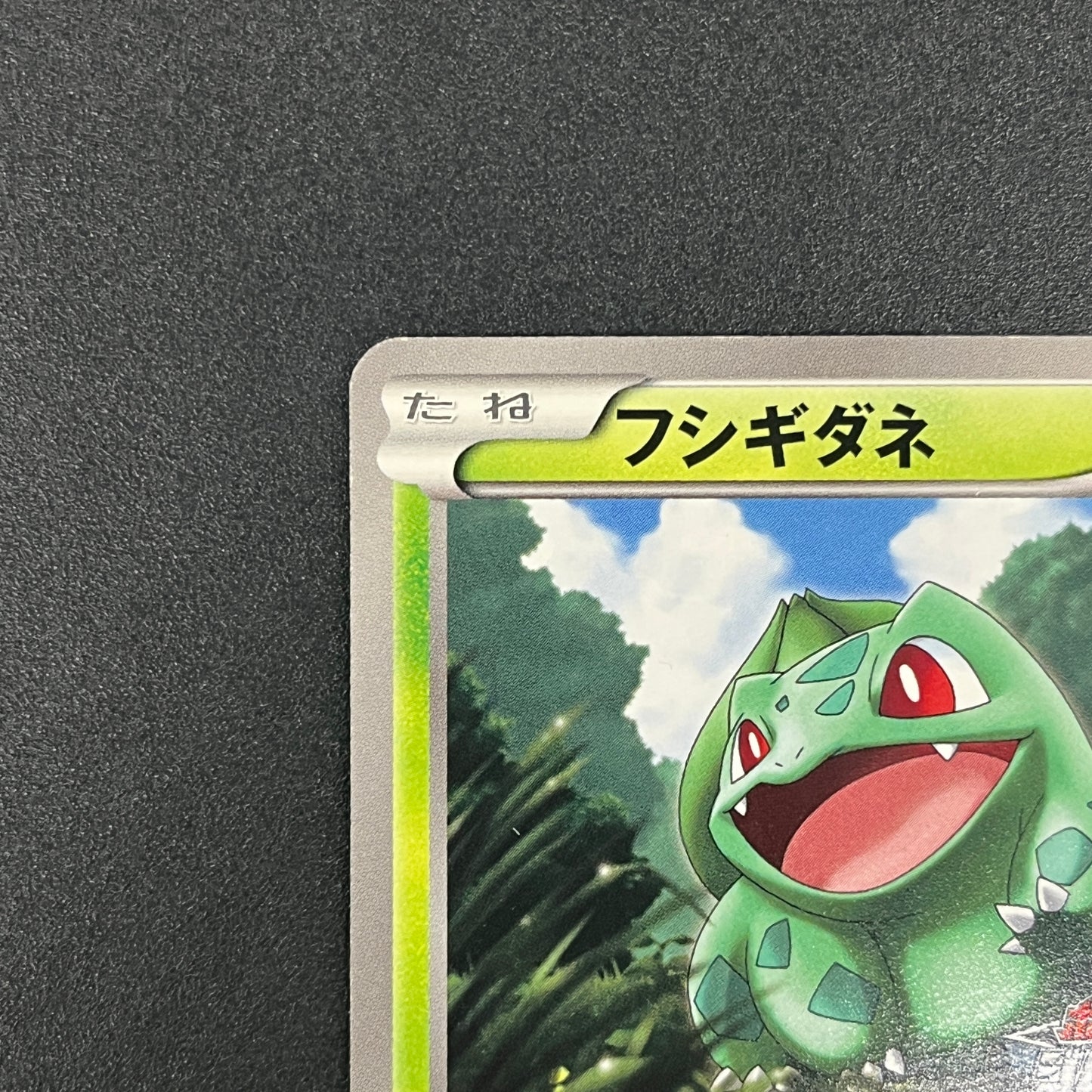 Bulbasaur 124/BW-P Gym Challenge Promo Pokémon Card