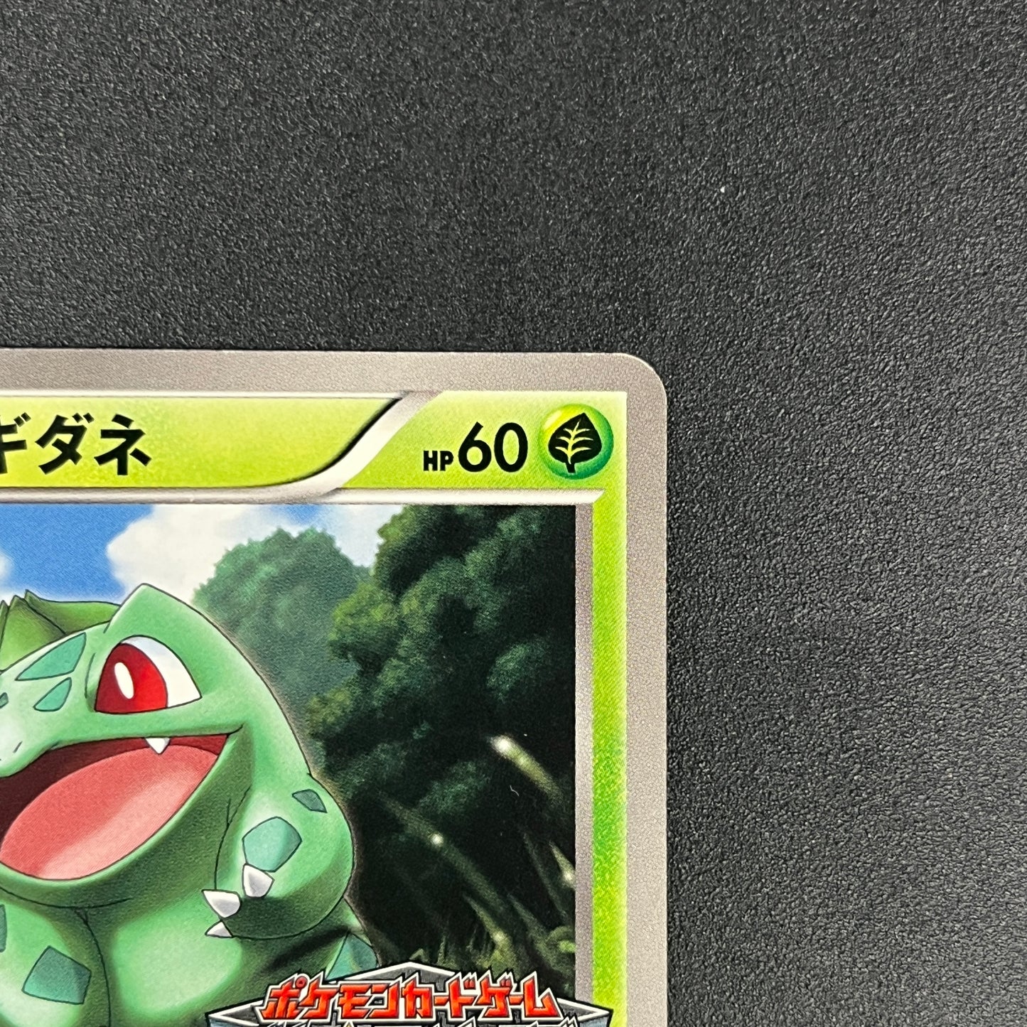 Bulbasaur 124/BW-P Gym Challenge Promo Pokémon Card