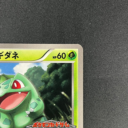 Bulbasaur 124/BW-P Gym Challenge Promo Pokémon Card