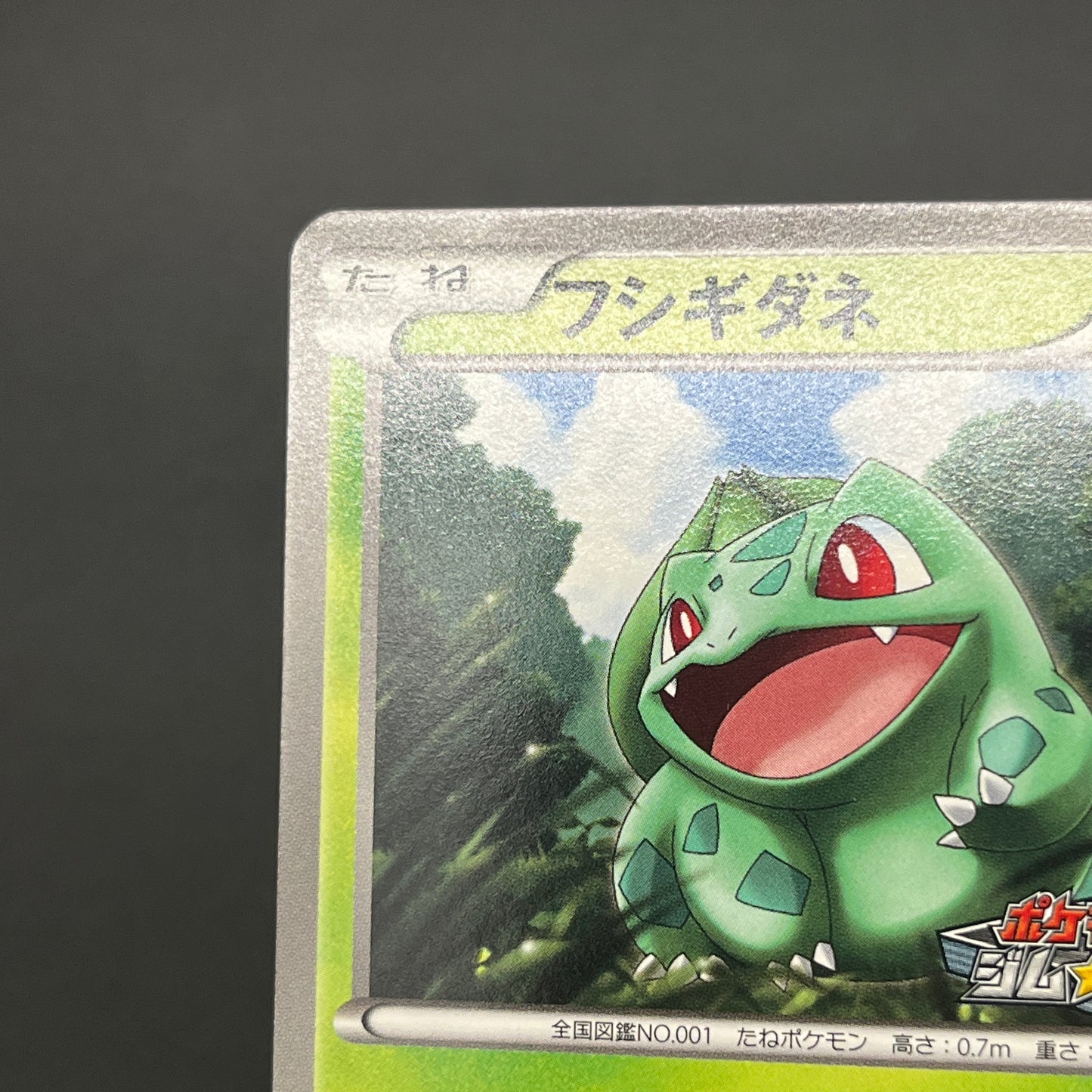 Bulbasaur 124/BW-P Gym Challenge Promo Pokémon Card