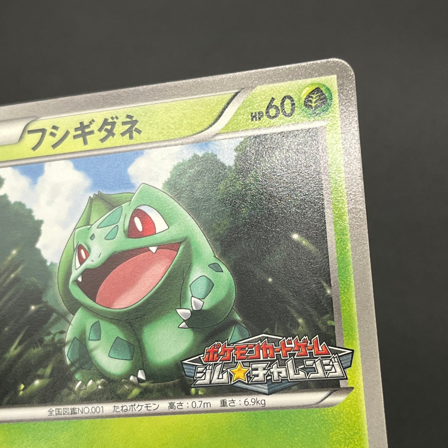 Bulbasaur 124/BW-P Gym Challenge Promo Pokémon Card