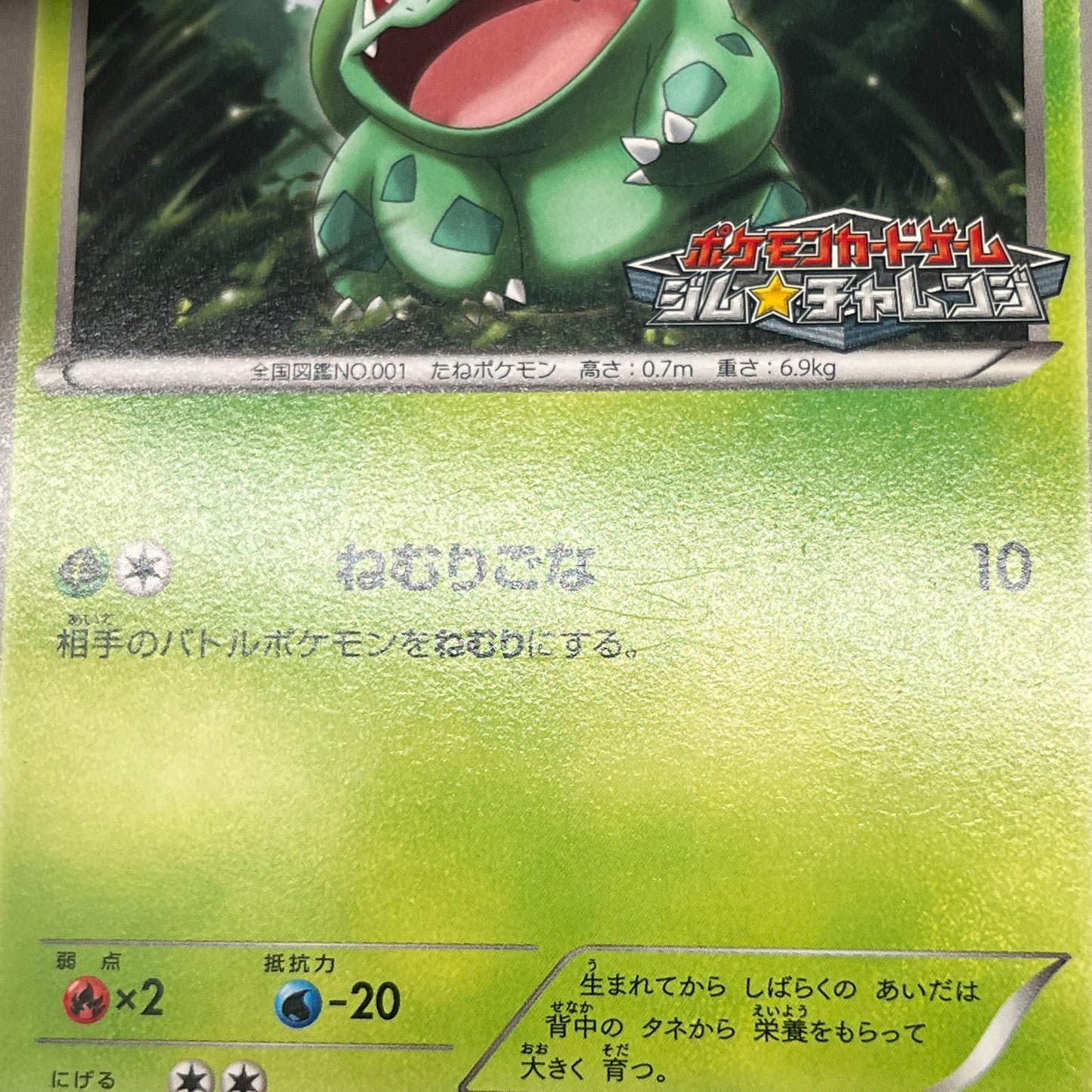 Bulbasaur 124/BW-P Gym Challenge Promo Pokémon Card