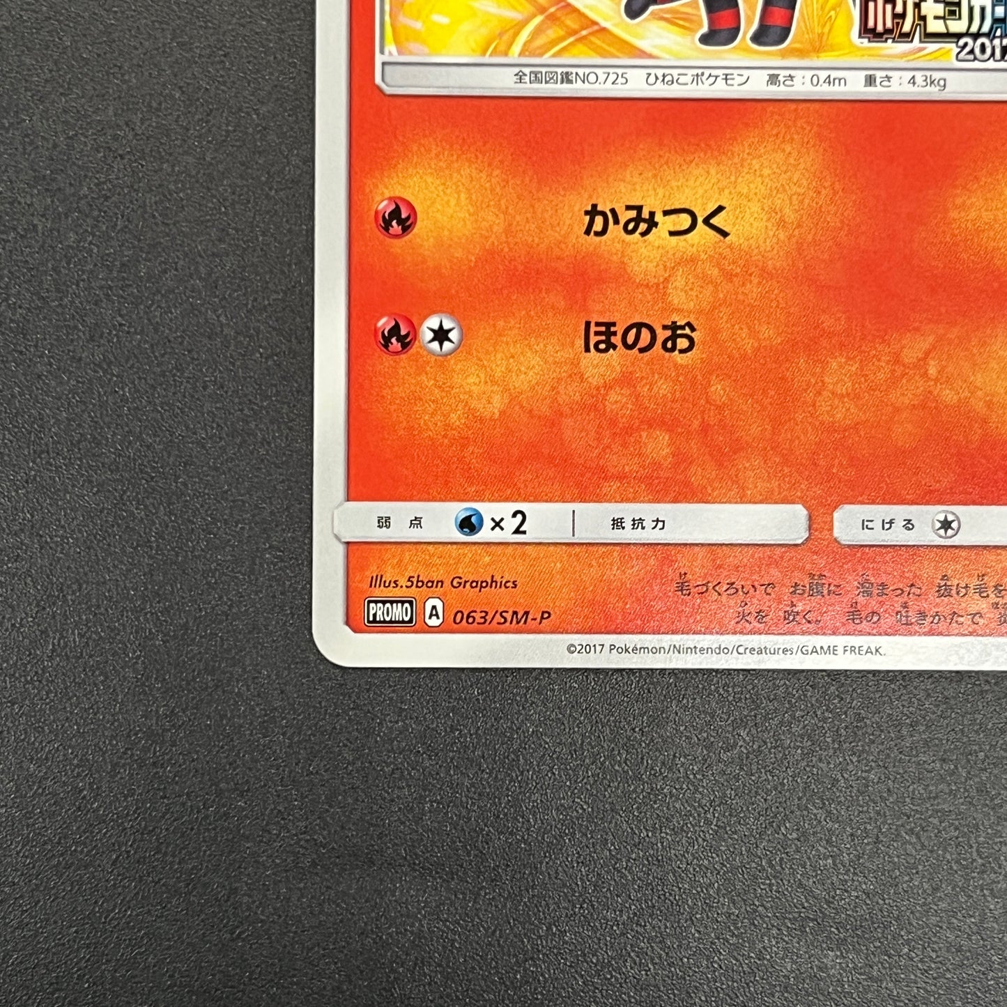 Litten 063/SM-P Champions League Promo Pokemon Card