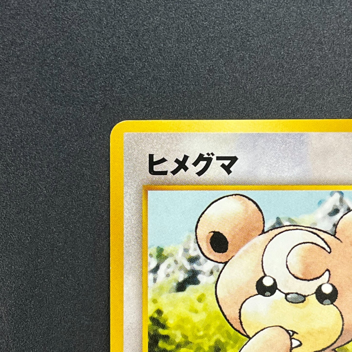 Teddiursa No. 216 Intro Pack Chikorita Deck Pokémon Card
