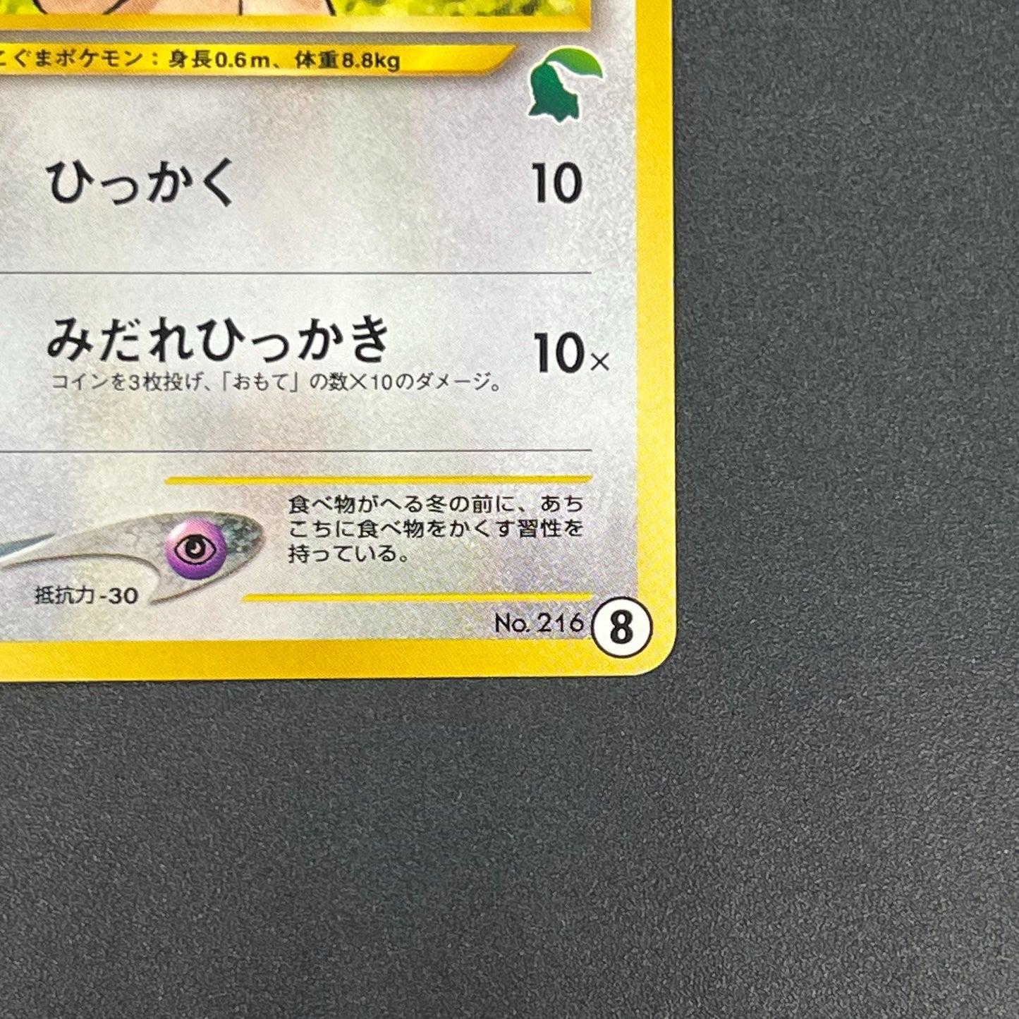 Teddiursa No. 216 Intro Pack Chikorita Deck Pokémon Card