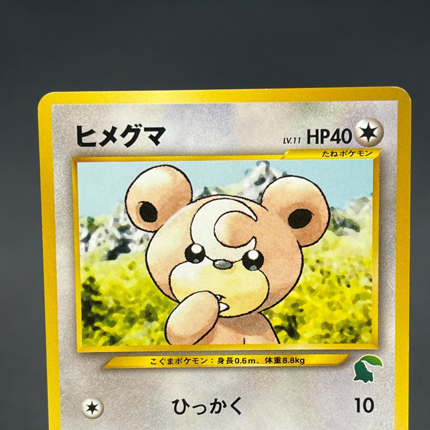 Teddiursa No. 216 Intro Pack Chikorita Deck Pokémon Card