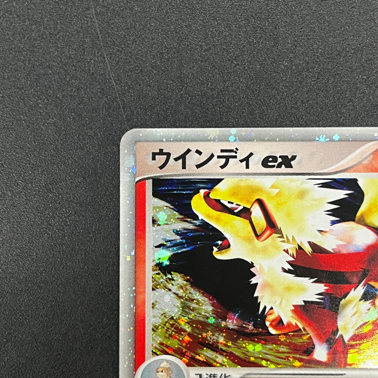 Arcanine ex 016/086 Mirage Forest 2005 Holo Pokémon Card