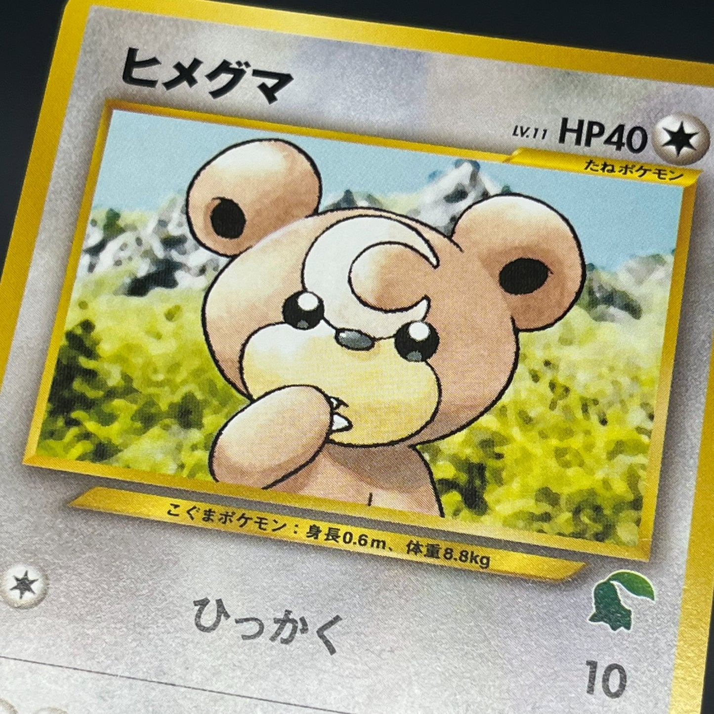 Teddiursa No. 216 Intro Pack Chikorita Deck Pokémon Card
