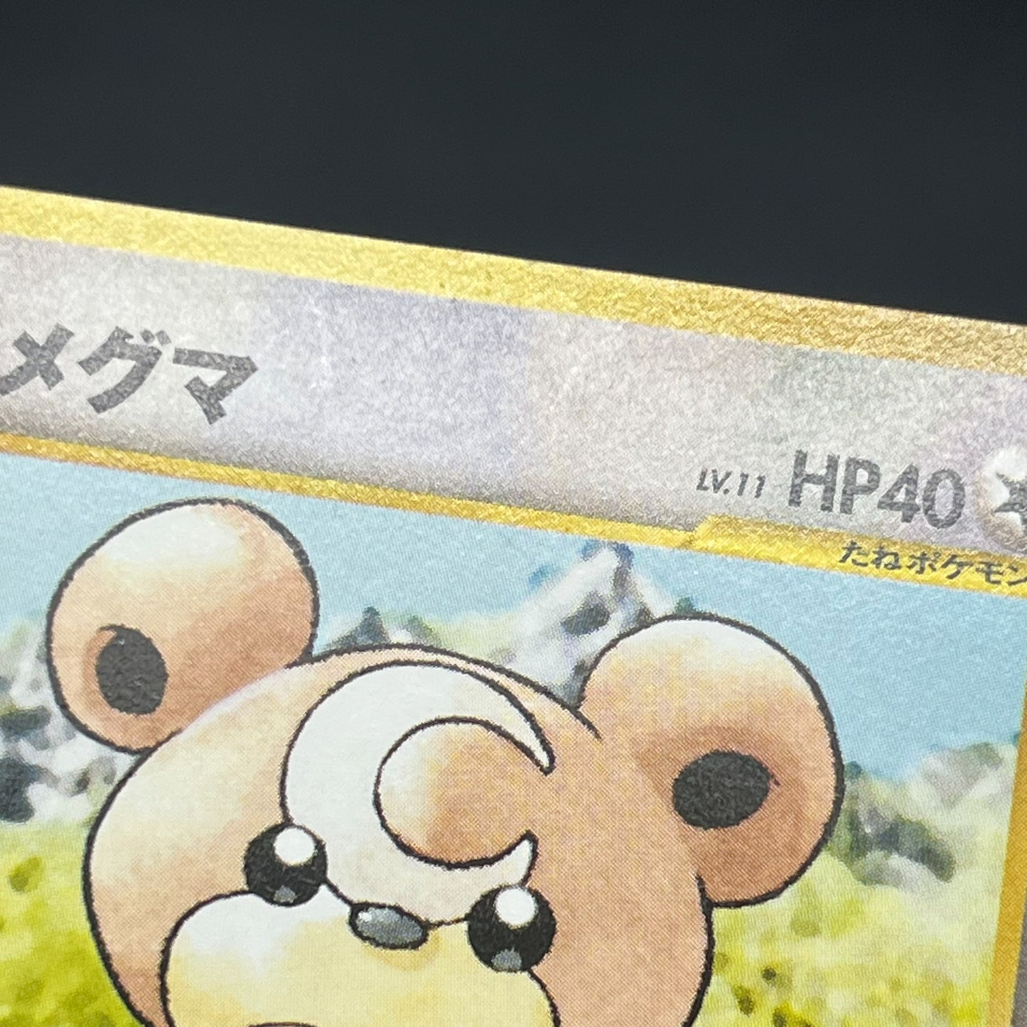 Teddiursa No. 216 Intro Pack Chikorita Deck Pokémon Card