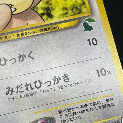 Teddiursa No. 216 Intro Pack Chikorita Deck Pokémon Card