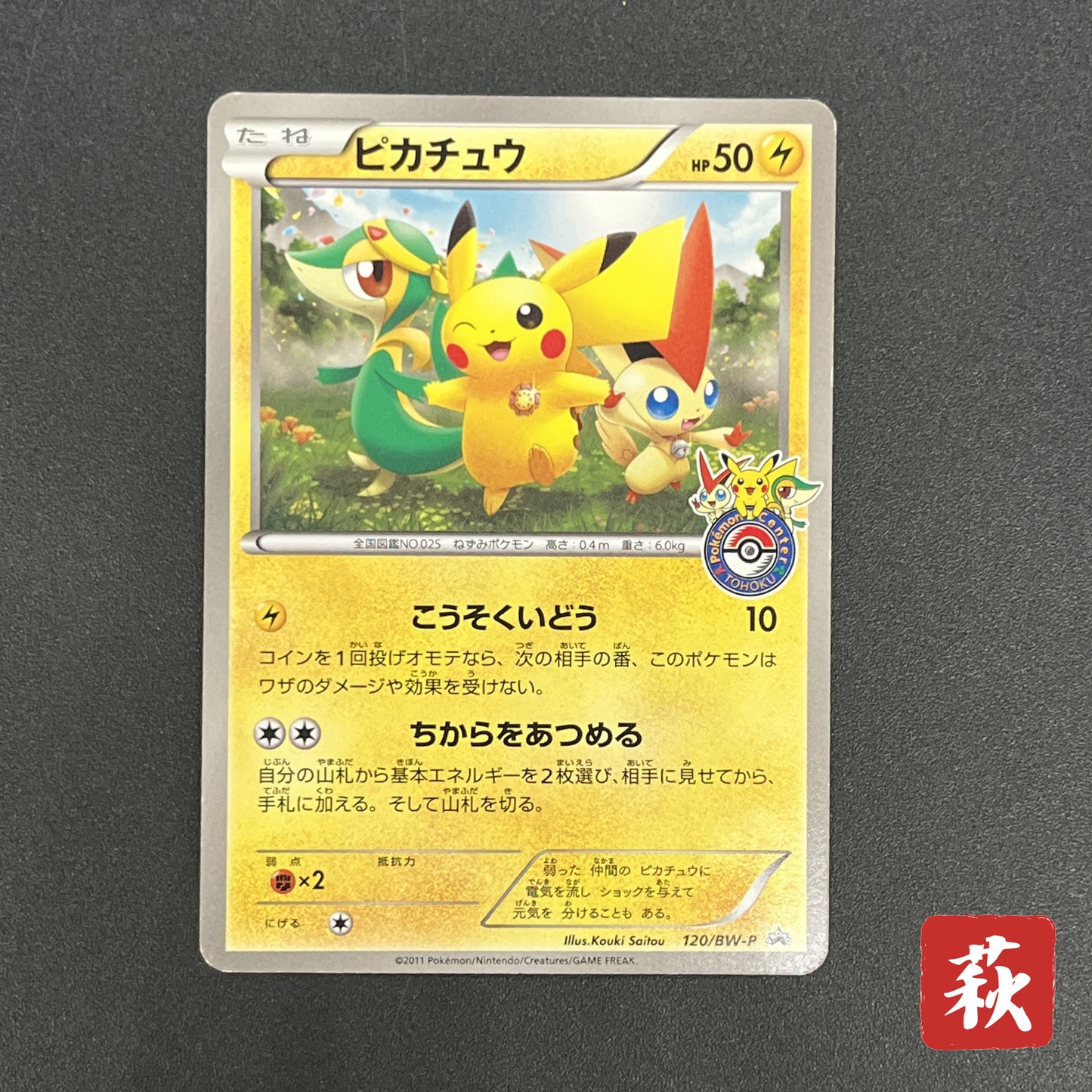 Pikachu 120/BW-P Tohoku Pokemon Center Promo Pokemon Card