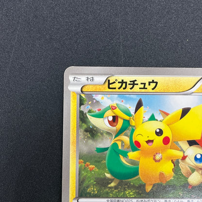 Pikachu 120/BW-P Tohoku Pokemon Center Promo Pokemon Card