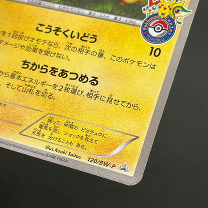 Pikachu 120/BW-P Tohoku Pokemon Center Promo Pokemon Card