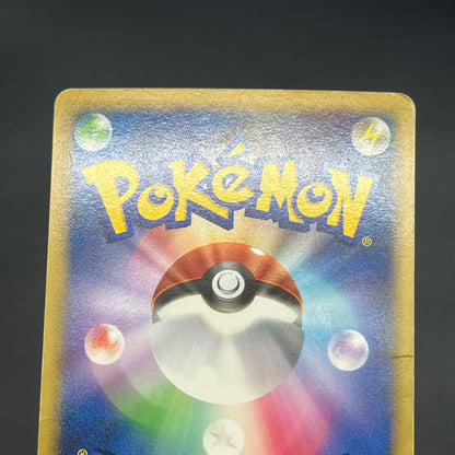 Garchomp 058/DP-P Holo Promo & DP4 Japanese Pokemon Card