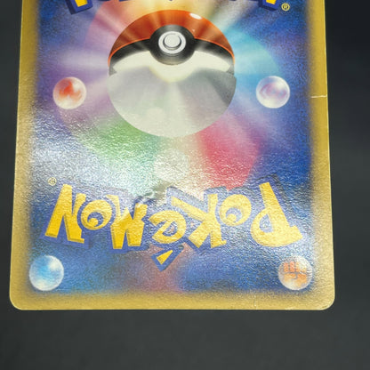 Garchomp 058/DP-P Holo Promo & DP4 Japanese Pokemon Card
