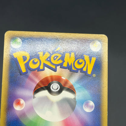 Garchomp 058/DP-P Holo Promo & DP4 Japanese Pokemon Card