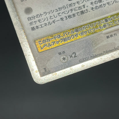 Garchomp 058/DP-P Holo Promo & DP4 Japanese Pokemon Card