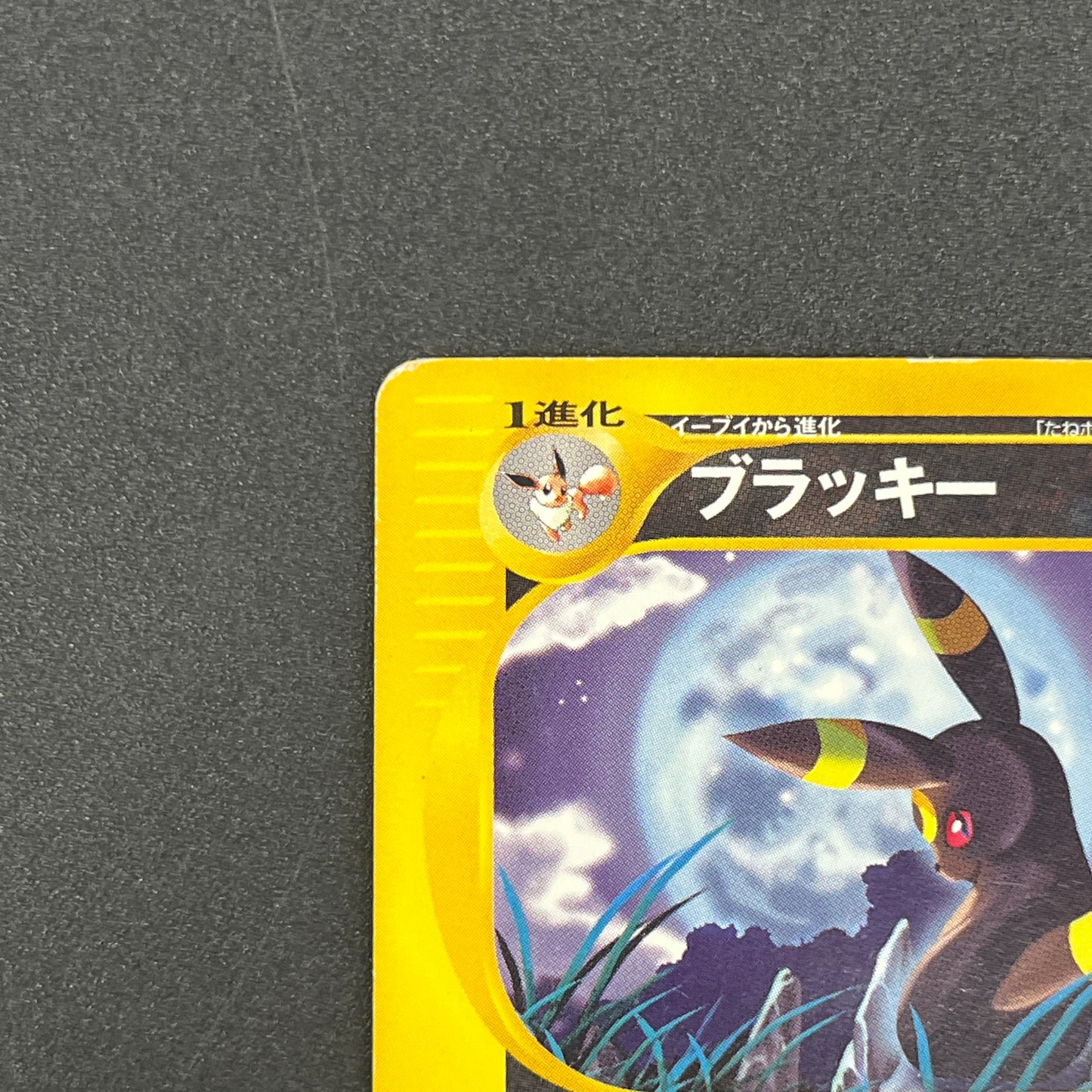Umbreon 071/088 Skyridge Split Earth Japanese Pokemon Card