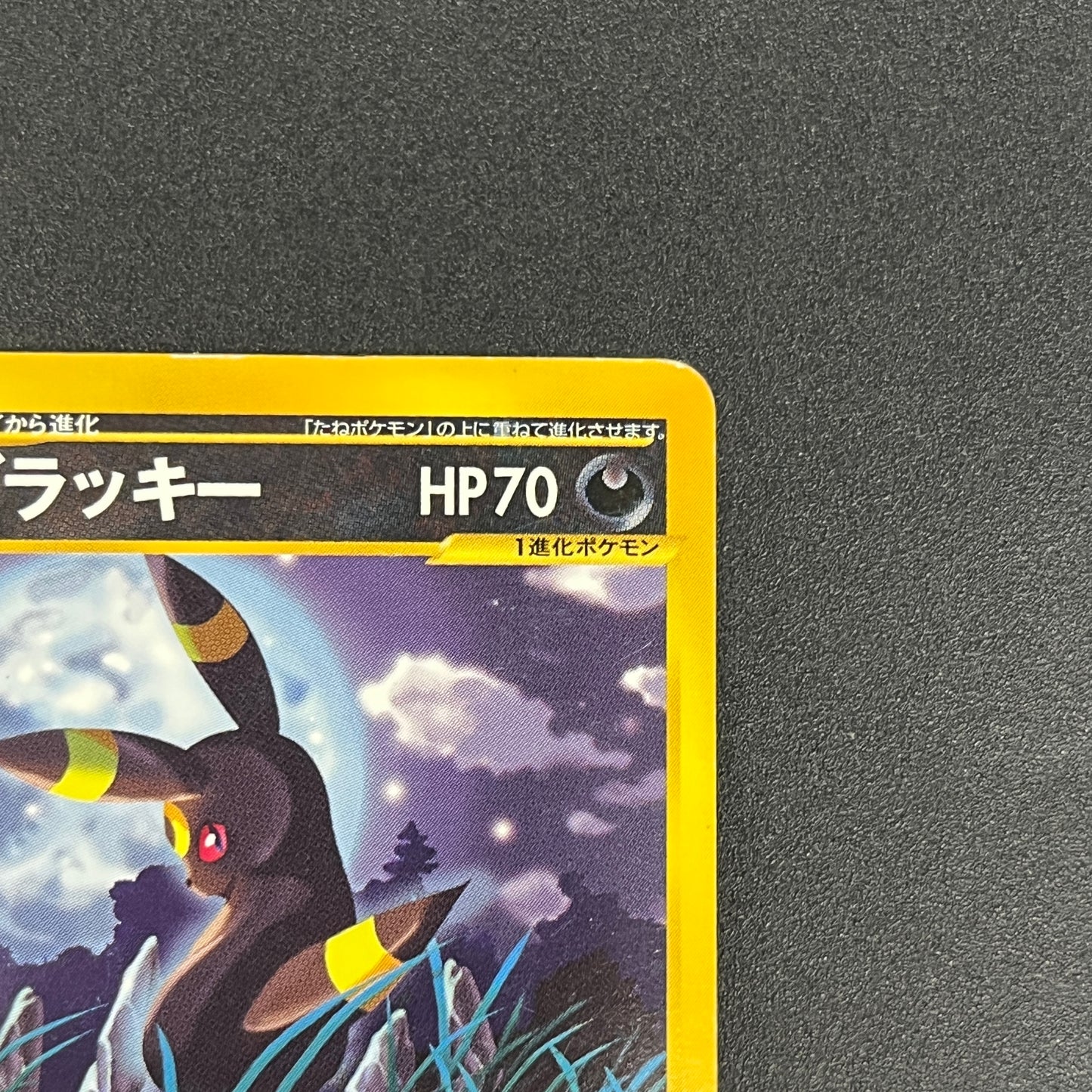 Umbreon 071/088 Skyridge Split Earth Japanese Pokemon Card
