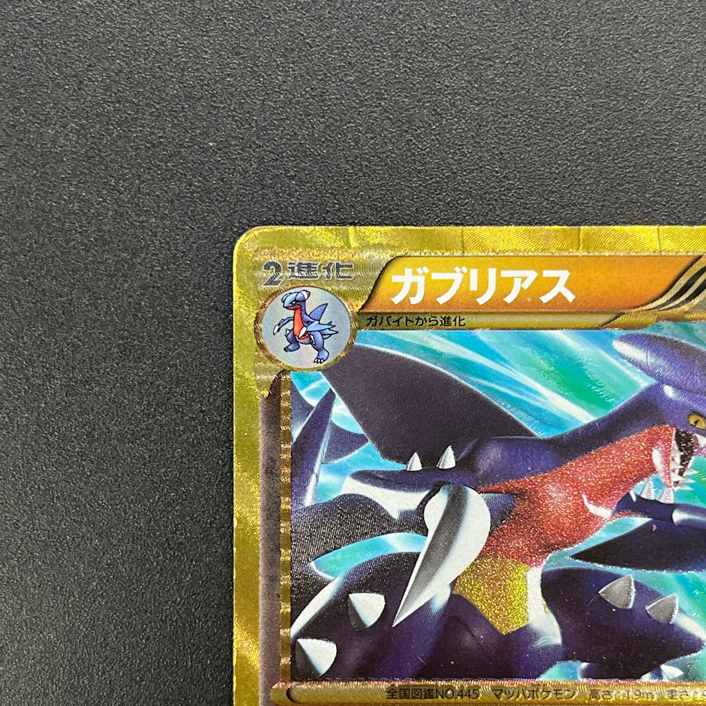 Garchomp 057/051 Plasma Freeze 1st Ed BW8 Pokemon Card