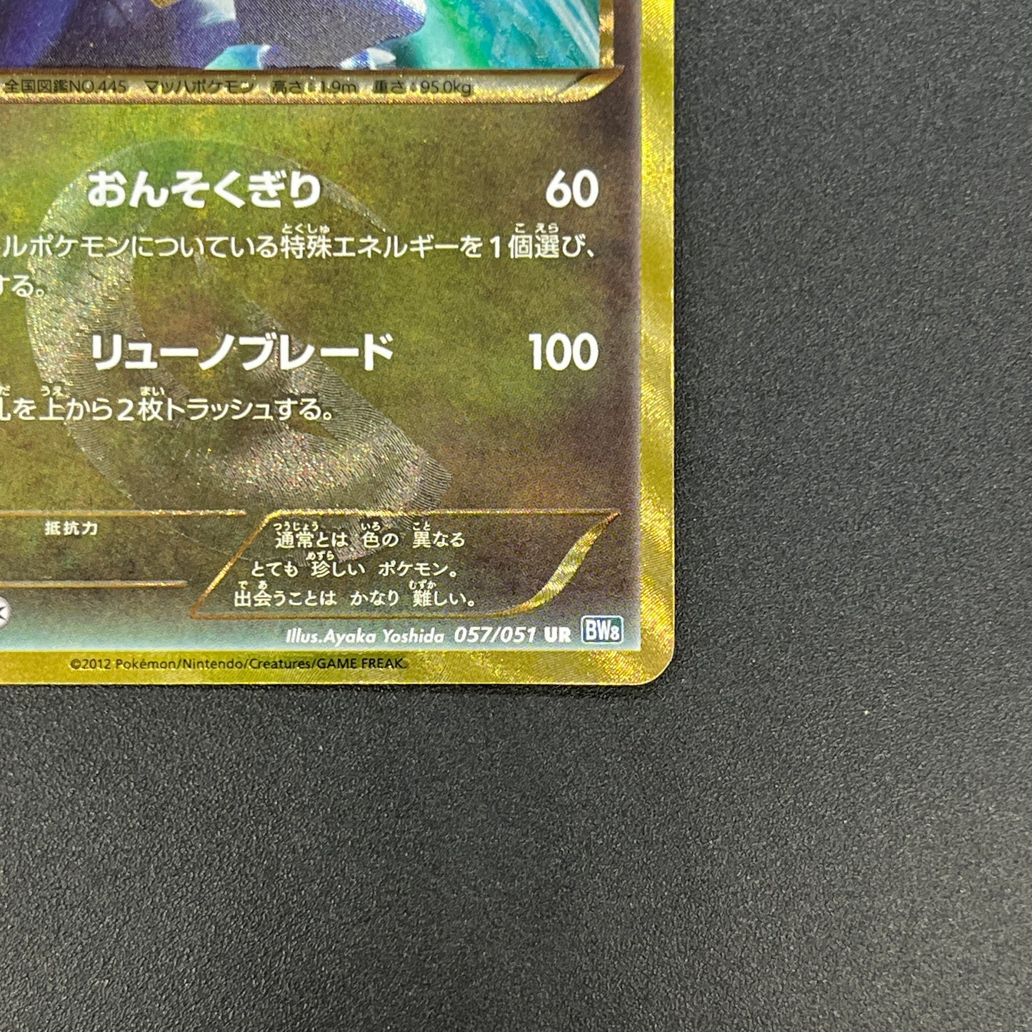 Garchomp 057/051 Plasma Freeze 1st Ed BW8 Pokemon Card