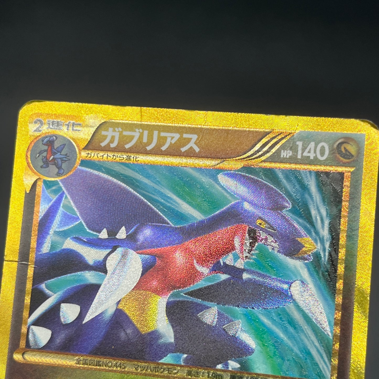 Garchomp 057/051 Plasma Freeze 1st Ed BW8 Pokemon Card