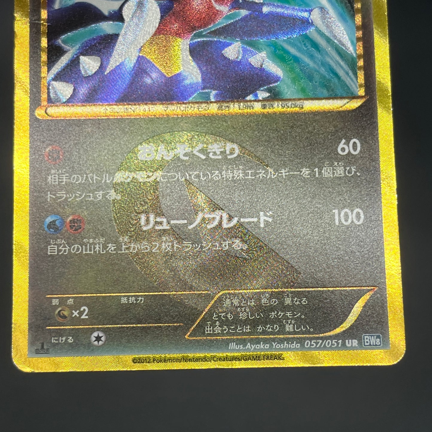 Garchomp 057/051 Plasma Freeze 1st Ed BW8 Pokemon Card