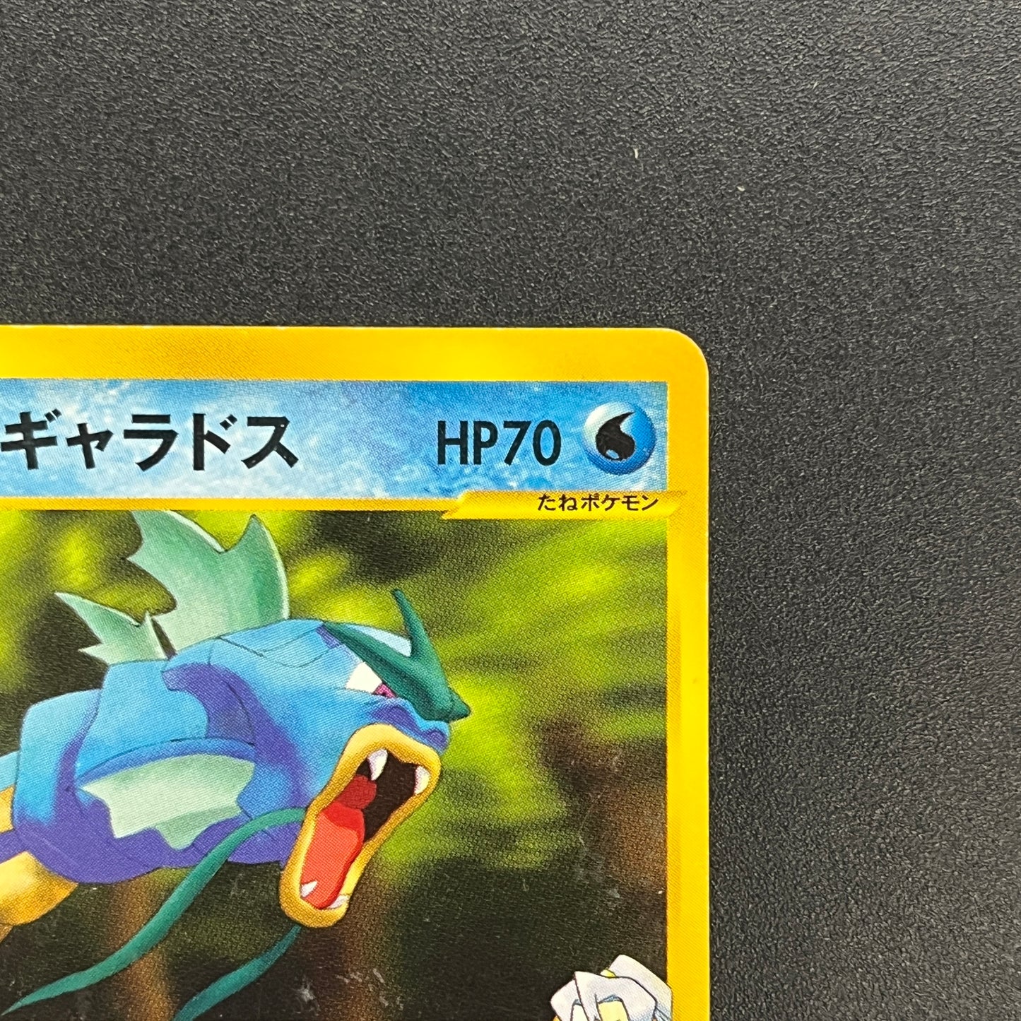 Clair’s Gyarados 048/141 VS 1st Ed Japanese Pokemon Card
