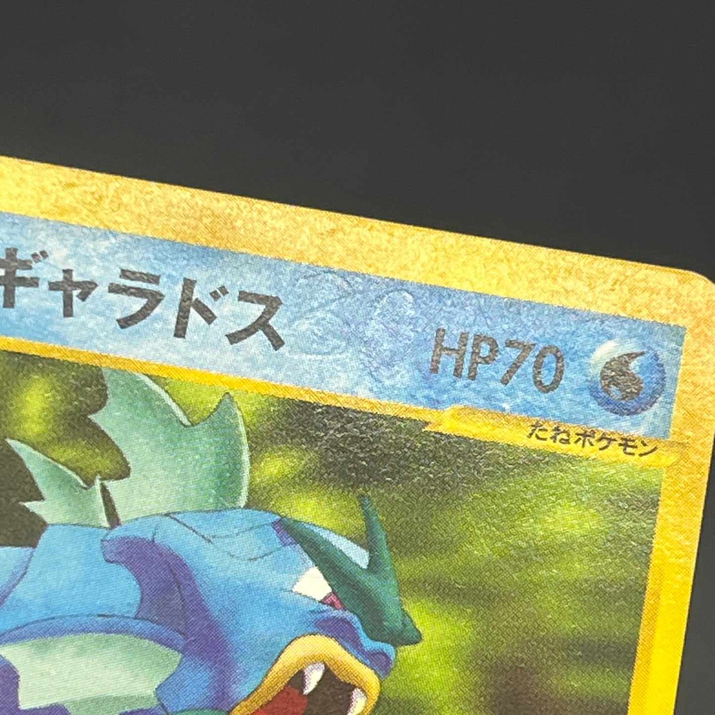 Clair’s Gyarados 048/141 VS 1st Ed Japanese Pokemon Card