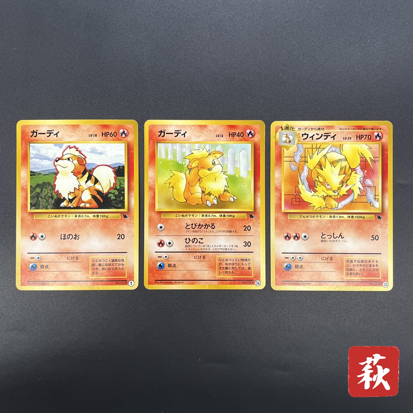 Growlithe Arcanine Intro Pack 3set Squirtle Deck Card