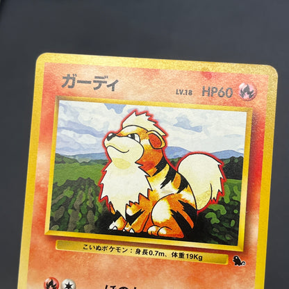 Growlithe Arcanine Intro Pack 3set Squirtle Deck Card