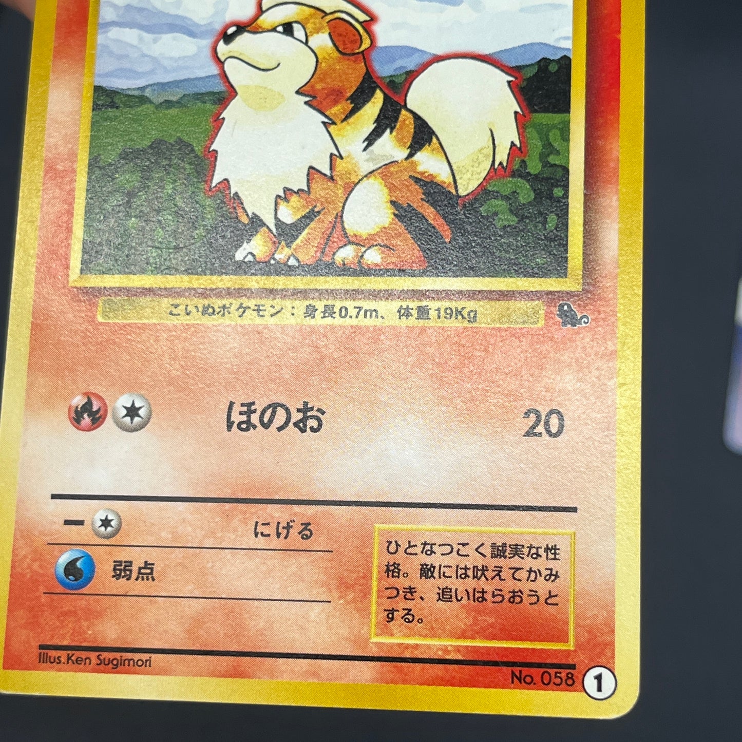 Growlithe Arcanine Intro Pack 3set Squirtle Deck Card