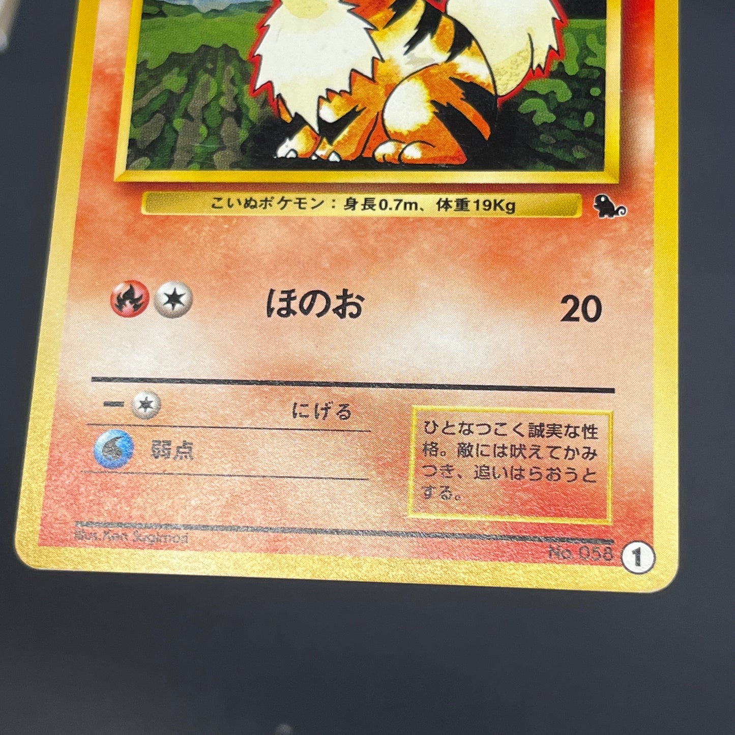 Growlithe Arcanine Intro Pack 3set Squirtle Deck Card