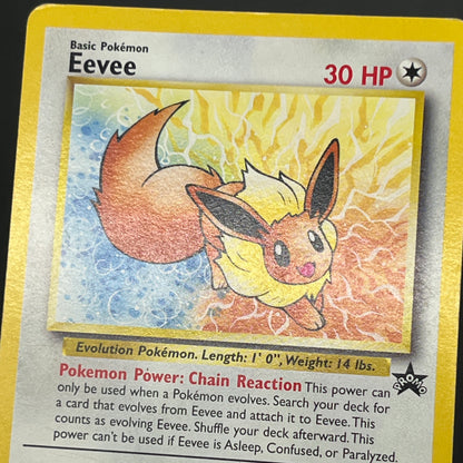 Eevee 11 Mewtwo 12 JR Stamp Rally Promo 2000 Pokemon Card