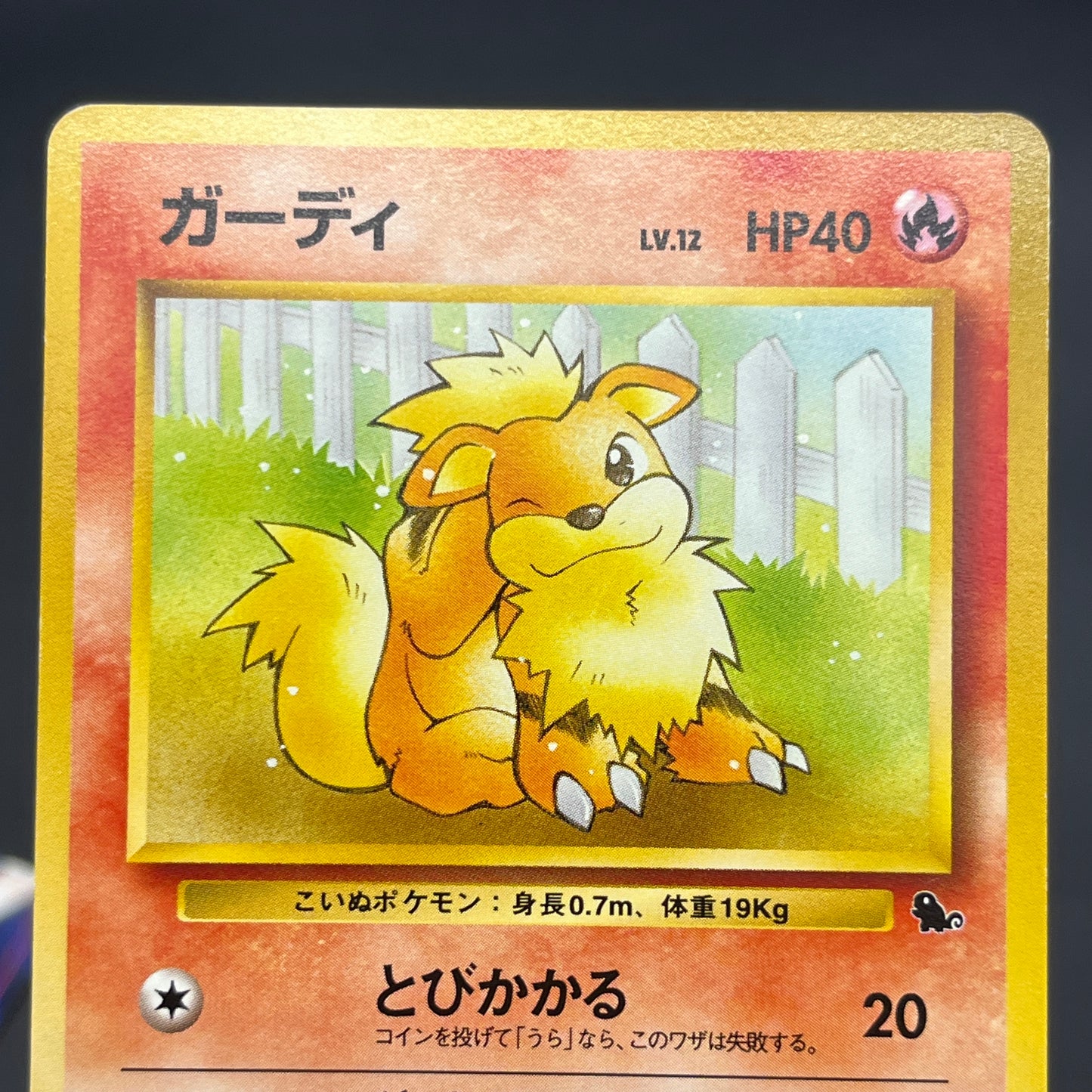 Growlithe Arcanine Intro Pack 3set Squirtle Deck Card