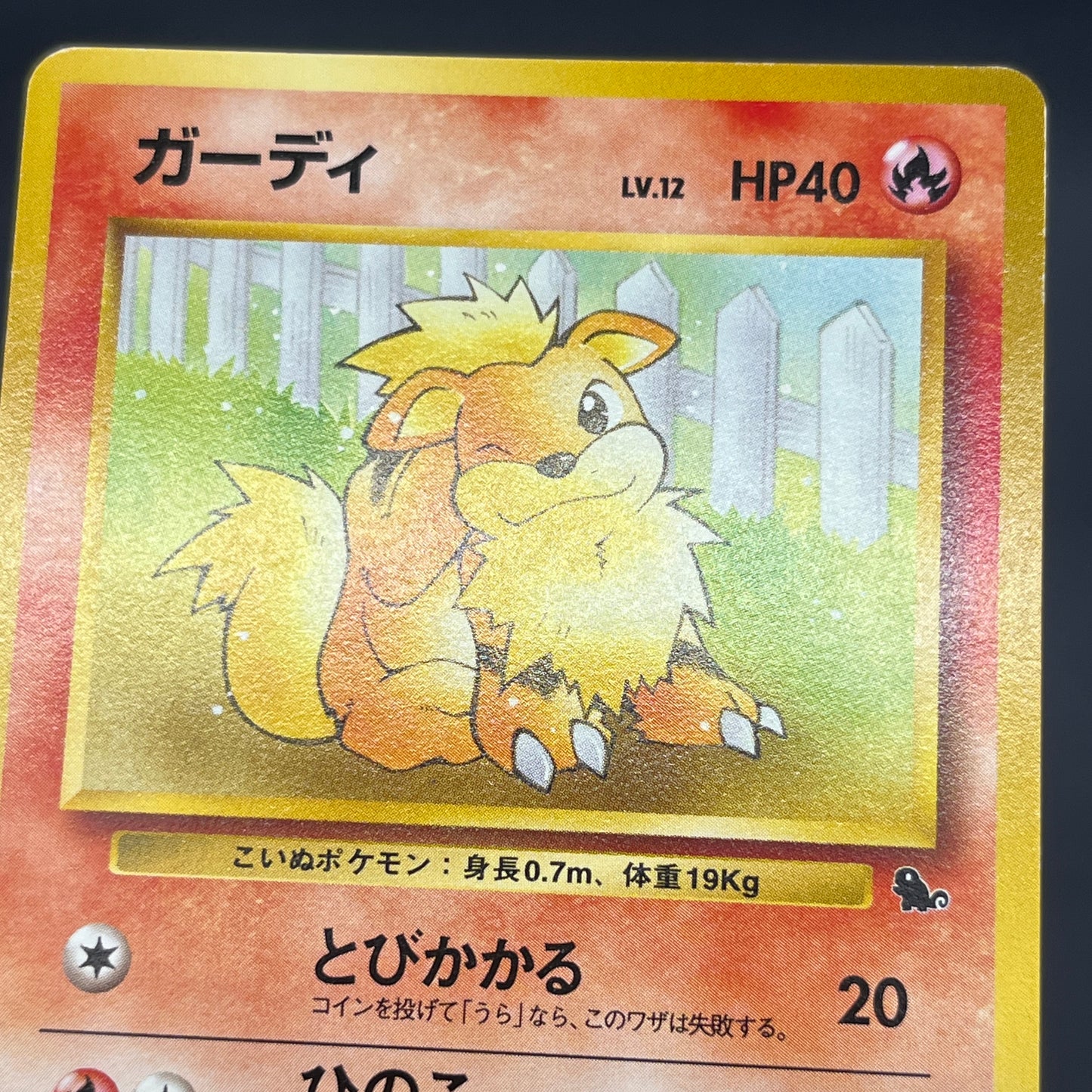 Growlithe Arcanine Intro Pack 3set Squirtle Deck Card