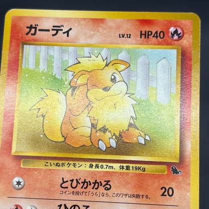 Growlithe Arcanine Intro Pack 3set Squirtle Deck Card