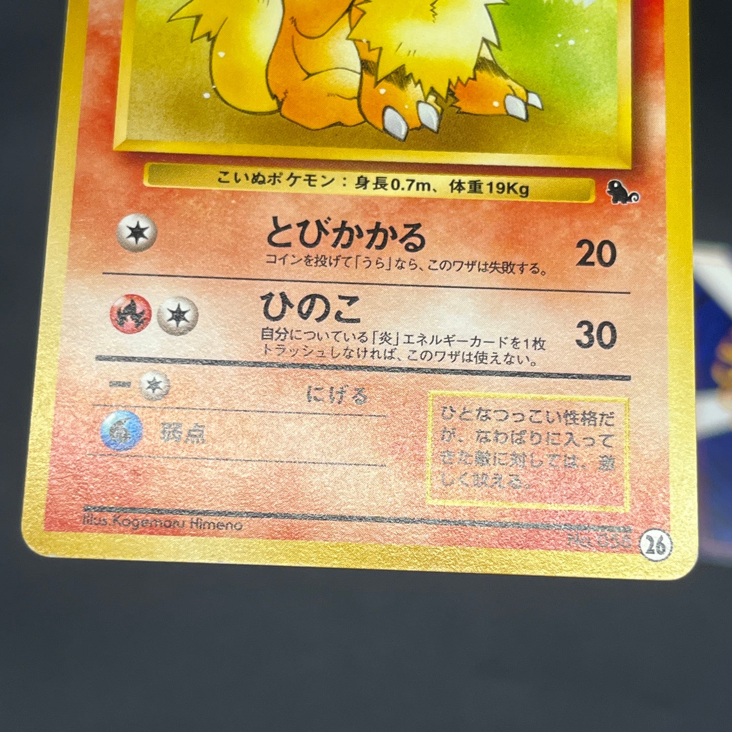 Growlithe Arcanine Intro Pack 3set Squirtle Deck Card